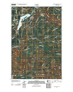 Lake Kapowsin Washington Historical topographic map, 1:24000 scale, 7.5 X 7.5 Minute, Year 2011