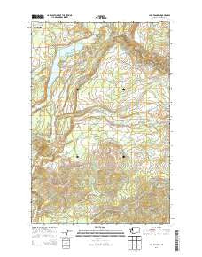 Lake Kapowsin Washington Current topographic map, 1:24000 scale, 7.5 X 7.5 Minute, Year 2013