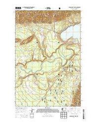 Lake Quinault West Washington Current topographic map, 1:24000 scale, 7.5 X 7.5 Minute, Year 2014