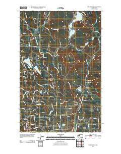Lake Roesiger Washington Historical topographic map, 1:24000 scale, 7.5 X 7.5 Minute, Year 2011
