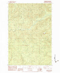 Lakeview Peak Washington Historical topographic map, 1:24000 scale, 7.5 X 7.5 Minute, Year 1983