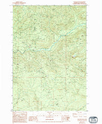 Lakeview Peak Washington Historical topographic map, 1:24000 scale, 7.5 X 7.5 Minute, Year 1983