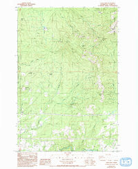 Larch Mtn Washington Historical topographic map, 1:24000 scale, 7.5 X 7.5 Minute, Year 1986
