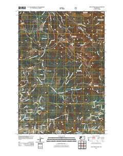Larch Mountain Washington Historical topographic map, 1:24000 scale, 7.5 X 7.5 Minute, Year 2011
