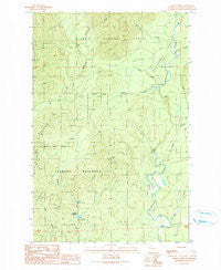 Larsen Creek Washington Historical topographic map, 1:24000 scale, 7.5 X 7.5 Minute, Year 1990