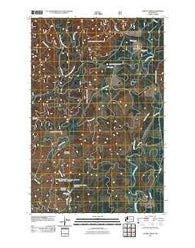 Larsen Creek Washington Historical topographic map, 1:24000 scale, 7.5 X 7.5 Minute, Year 2011