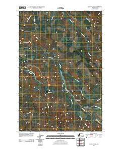 Le Dout Creek Washington Historical topographic map, 1:24000 scale, 7.5 X 7.5 Minute, Year 2011