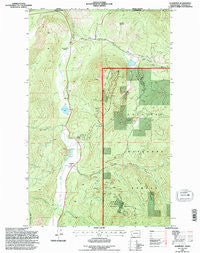 Leadpoint Washington Historical topographic map, 1:24000 scale, 7.5 X 7.5 Minute, Year 1992