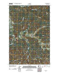 Lebam Washington Historical topographic map, 1:24000 scale, 7.5 X 7.5 Minute, Year 2011