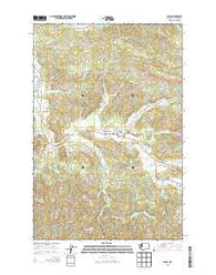Lebam Washington Current topographic map, 1:24000 scale, 7.5 X 7.5 Minute, Year 2013