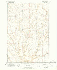 Lenzie Ranch Washington Historical topographic map, 1:24000 scale, 7.5 X 7.5 Minute, Year 1965