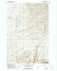 Levey SW Washington Historical topographic map, 1:24000 scale, 7.5 X 7.5 Minute, Year 1991