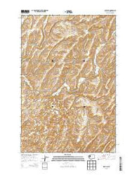 Levey NE Washington Current topographic map, 1:24000 scale, 7.5 X 7.5 Minute, Year 2013