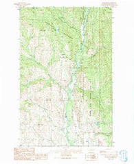 Lewis Butte Washington Historical topographic map, 1:24000 scale, 7.5 X 7.5 Minute, Year 1991