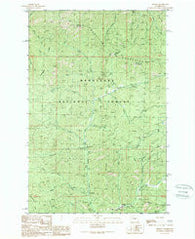 Liberty Washington Historical topographic map, 1:24000 scale, 7.5 X 7.5 Minute, Year 1989
