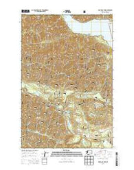 Lightning Peak Washington Current topographic map, 1:24000 scale, 7.5 X 7.5 Minute, Year 2014