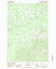 Little Huckleberry Mtn Washington Historical topographic map, 1:24000 scale, 7.5 X 7.5 Minute, Year 1983