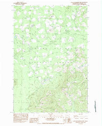 Little Huckleberry Mtn Washington Historical topographic map, 1:24000 scale, 7.5 X 7.5 Minute, Year 1983