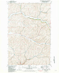 Little Penawawa Creek Washington Historical topographic map, 1:24000 scale, 7.5 X 7.5 Minute, Year 1981