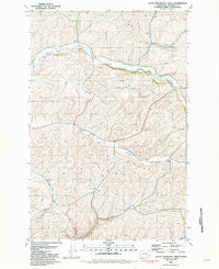 Little Penawawa Creek Washington Historical topographic map, 1:24000 scale, 7.5 X 7.5 Minute, Year 1981
