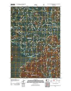 Little Huckleberry Mountain Washington Historical topographic map, 1:24000 scale, 7.5 X 7.5 Minute, Year 2011
