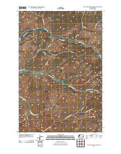 Little Penawawa Creek Washington Historical topographic map, 1:24000 scale, 7.5 X 7.5 Minute, Year 2011