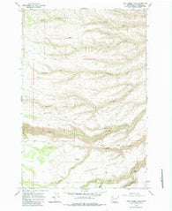 Logy Creek Falls Washington Historical topographic map, 1:24000 scale, 7.5 X 7.5 Minute, Year 1965