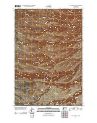 Logy Creek Falls Washington Historical topographic map, 1:24000 scale, 7.5 X 7.5 Minute, Year 2011