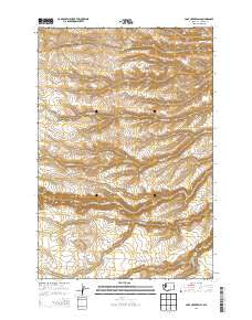 Logy Creek Falls Washington Current topographic map, 1:24000 scale, 7.5 X 7.5 Minute, Year 2013
