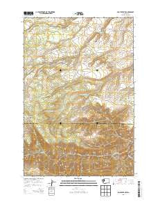 Logy Creek SW Washington Current topographic map, 1:24000 scale, 7.5 X 7.5 Minute, Year 2013