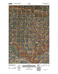 Lone Pine Butte Washington Historical topographic map, 1:24000 scale, 7.5 X 7.5 Minute, Year 2011