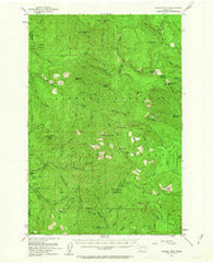 Lookout Mtn Washington Historical topographic map, 1:62500 scale, 15 X 15 Minute, Year 1953