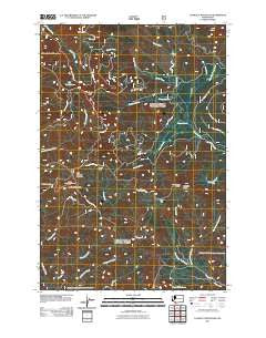 Lookout Mountain Washington Historical topographic map, 1:24000 scale, 7.5 X 7.5 Minute, Year 2011