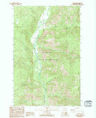 Louie Creek Washington Historical topographic map, 1:24000 scale, 7.5 X 7.5 Minute, Year 1989