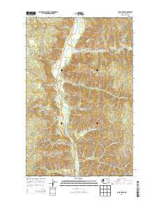 Louie Creek Washington Current topographic map, 1:24000 scale, 7.5 X 7.5 Minute, Year 2014