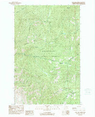 Loup Loup Summit Washington Historical topographic map, 1:24000 scale, 7.5 X 7.5 Minute, Year 1989