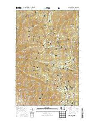 Loup Loup Summit Washington Current topographic map, 1:24000 scale, 7.5 X 7.5 Minute, Year 2014