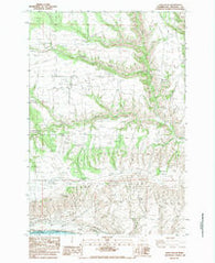 Luna Gulch Washington Historical topographic map, 1:24000 scale, 7.5 X 7.5 Minute, Year 1983