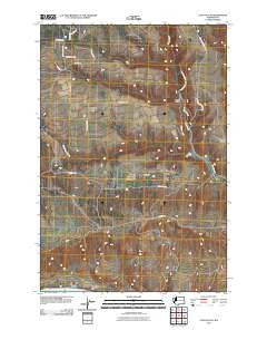 Luna Gulch Washington Historical topographic map, 1:24000 scale, 7.5 X 7.5 Minute, Year 2011