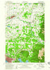 Lynden Washington Historical topographic map, 1:62500 scale, 15 X 15 Minute, Year 1954