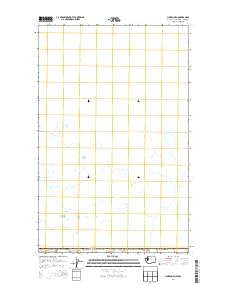 Lynden OE N Washington Current topographic map, 1:24000 scale, 7.5 X 7.5 Minute, Year 2014