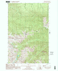 Maiden Peak Washington Historical topographic map, 1:24000 scale, 7.5 X 7.5 Minute, Year 1990