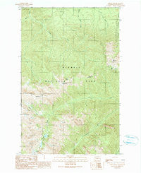 Maiden Peak Washington Historical topographic map, 1:24000 scale, 7.5 X 7.5 Minute, Year 1990