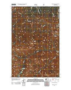Maiden Peak Washington Historical topographic map, 1:24000 scale, 7.5 X 7.5 Minute, Year 2011