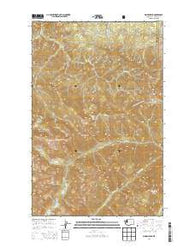 Maiden Peak Washington Current topographic map, 1:24000 scale, 7.5 X 7.5 Minute, Year 2014