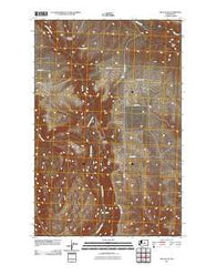Malaga NE Washington Historical topographic map, 1:24000 scale, 7.5 X 7.5 Minute, Year 2011