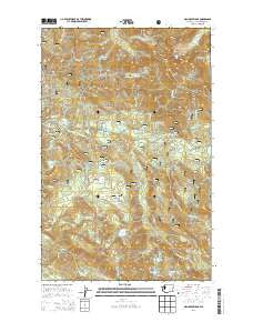 Mallardy Ridge Washington Current topographic map, 1:24000 scale, 7.5 X 7.5 Minute, Year 2014