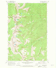 Martin Peak Washington Historical topographic map, 1:24000 scale, 7.5 X 7.5 Minute, Year 1969