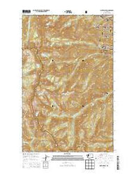 Martin Peak Washington Current topographic map, 1:24000 scale, 7.5 X 7.5 Minute, Year 2014