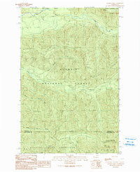 Matheny Ridge Washington Historical topographic map, 1:24000 scale, 7.5 X 7.5 Minute, Year 1990